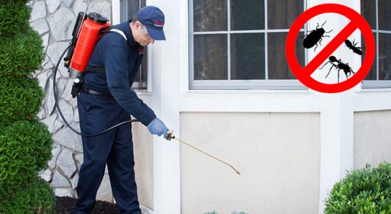 Selçuk Kemirgen İlaçlama böcek ilaçlama ve haşere kontrolü — ilaclama-tr.com